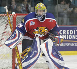 Mahbod and Riopel win TELUS players of the week awards - LHJMQ