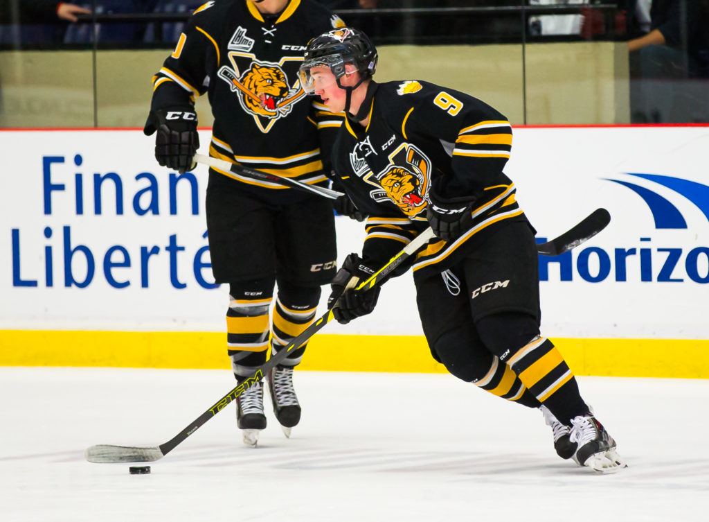 victoriaville tigres jersey