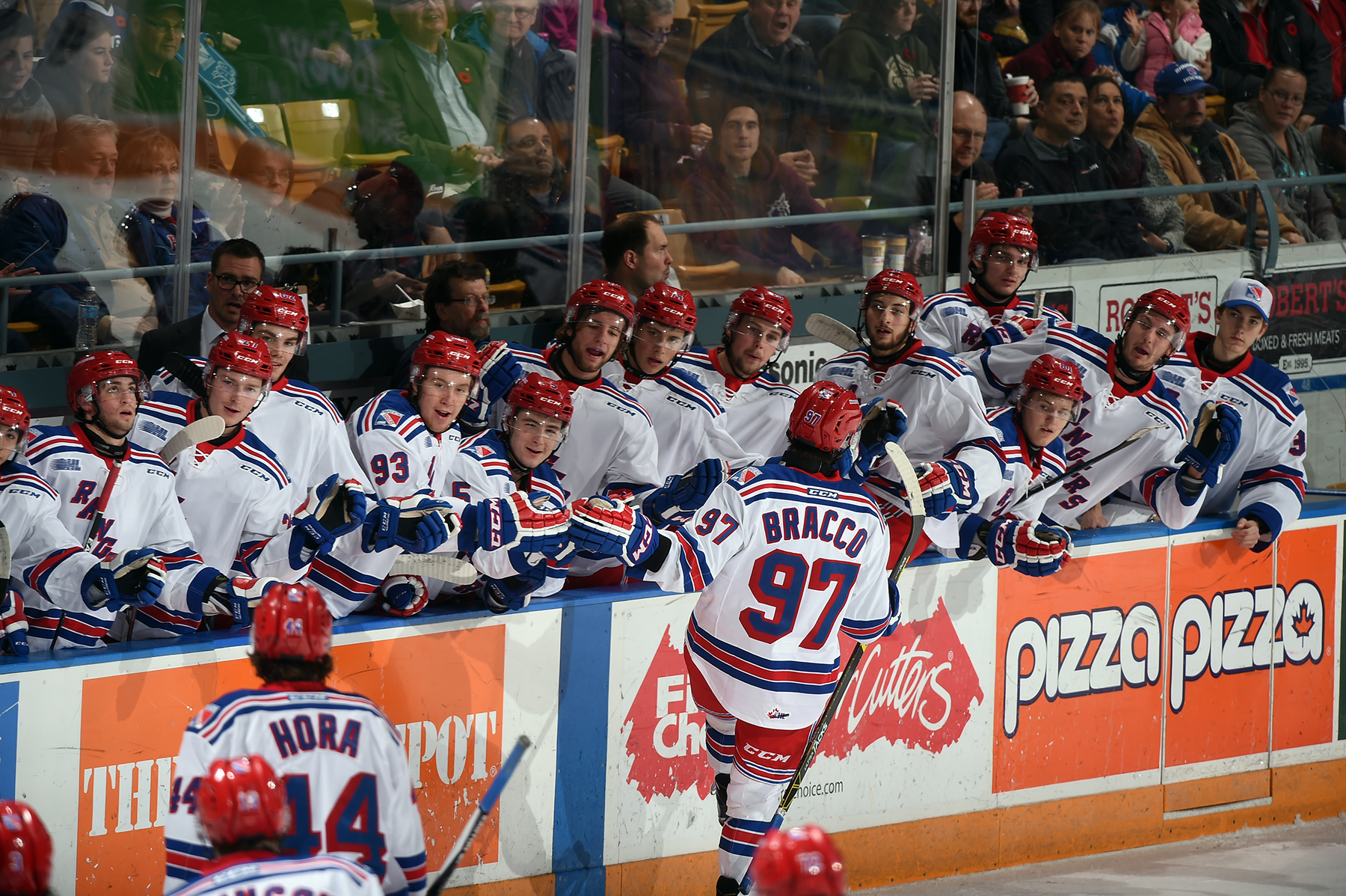 11_1_15_Bracco_Bench