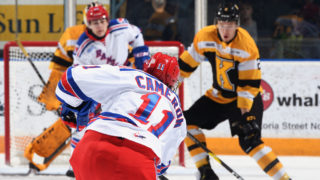 frontenacs