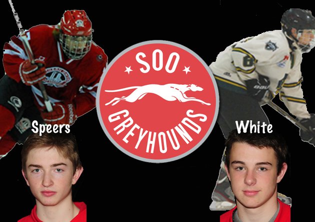 colton white hockey