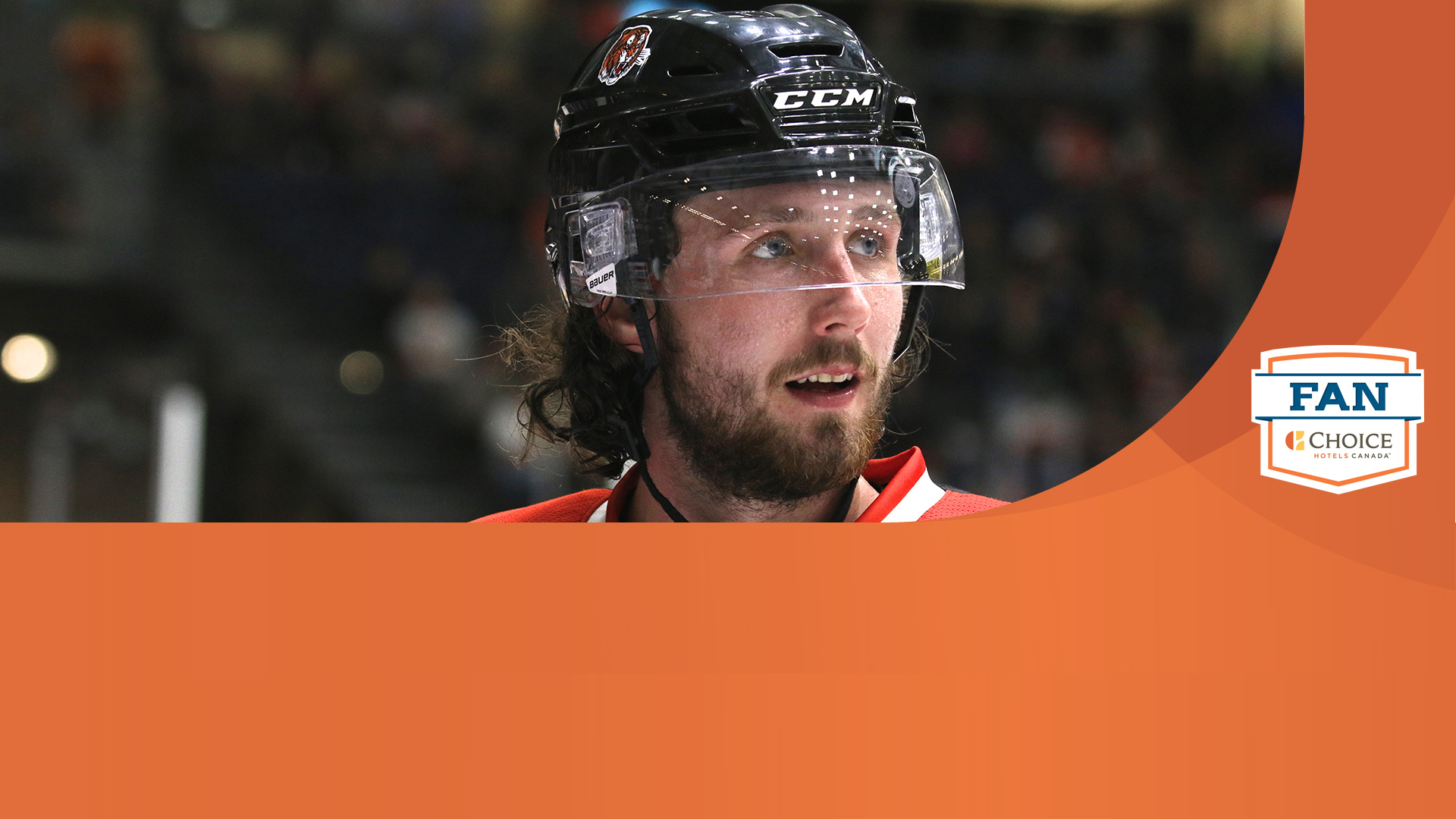 Newser_board_Stanton