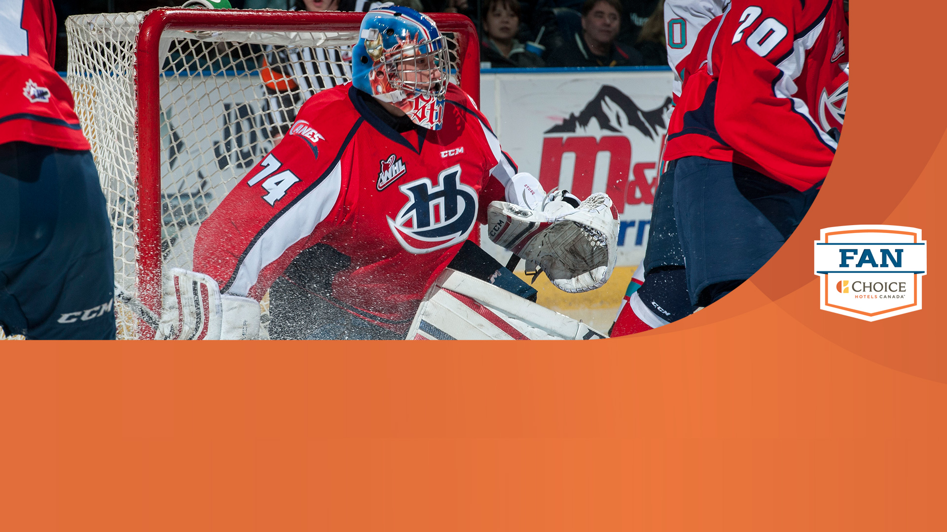 Newser_board_Skinner