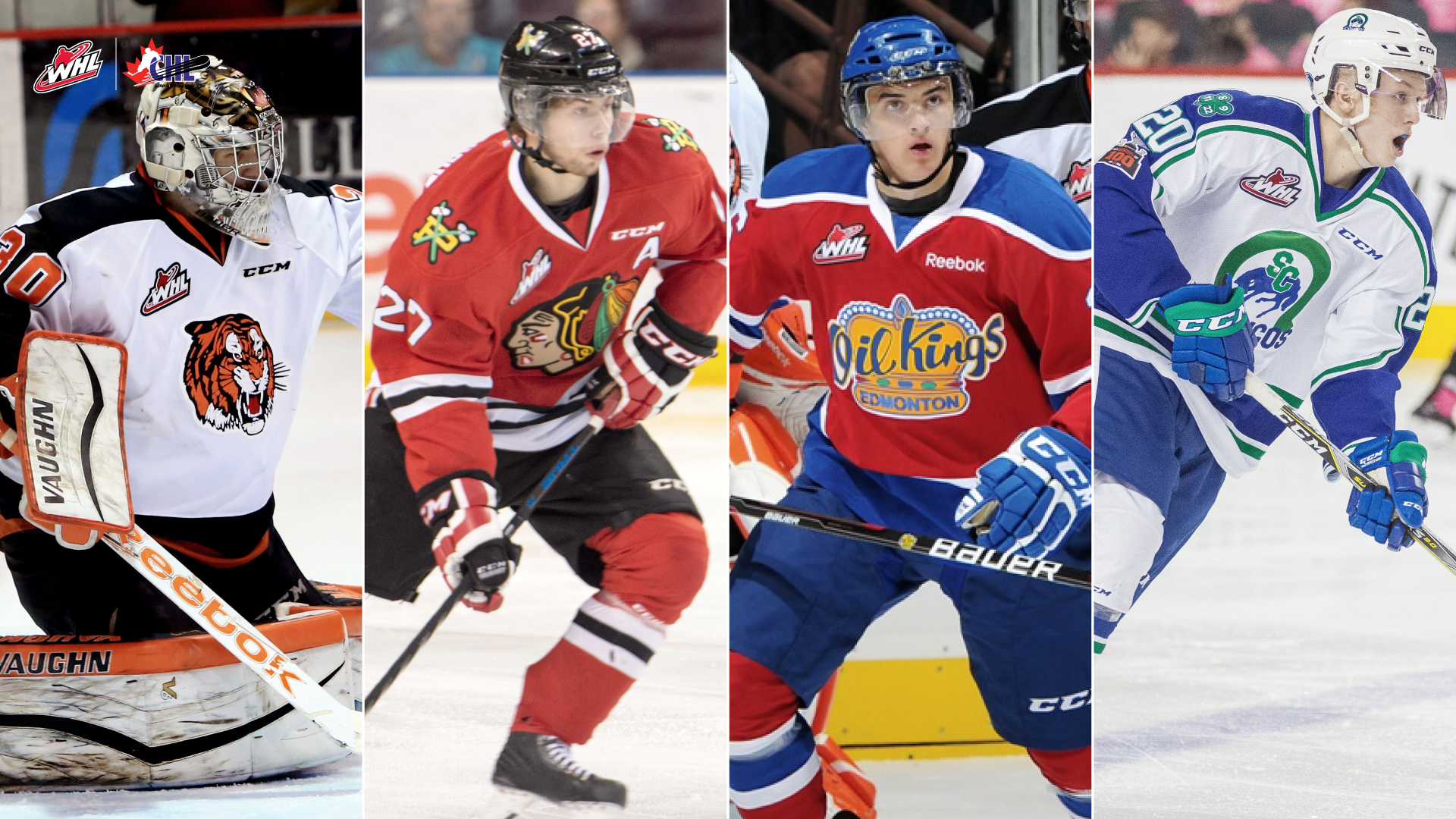 CHLImportHistory-0627